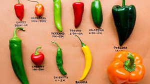 Mixed peppers